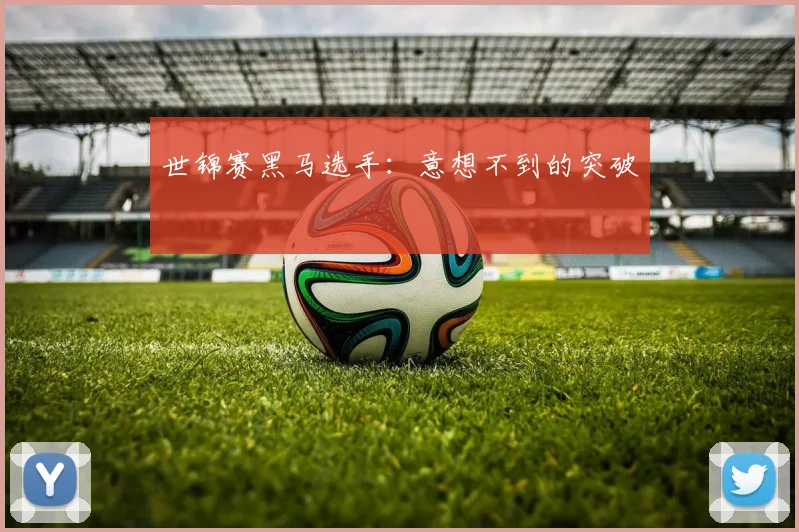 世锦赛黑马选手:意想不到的突破
