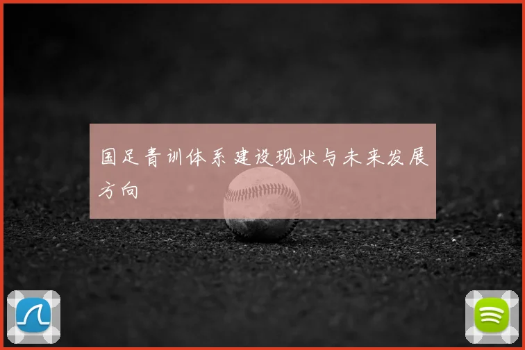 国足青训体系建设现状与未来发展方向